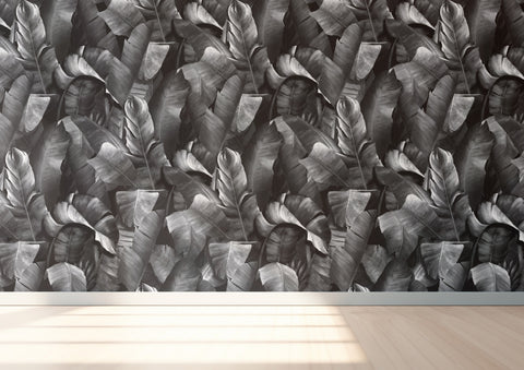 Daintree Wallpaper - Ashen
