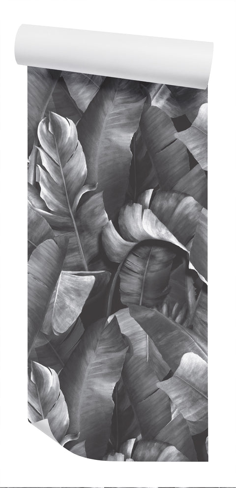Daintree Wallpaper - Ashen