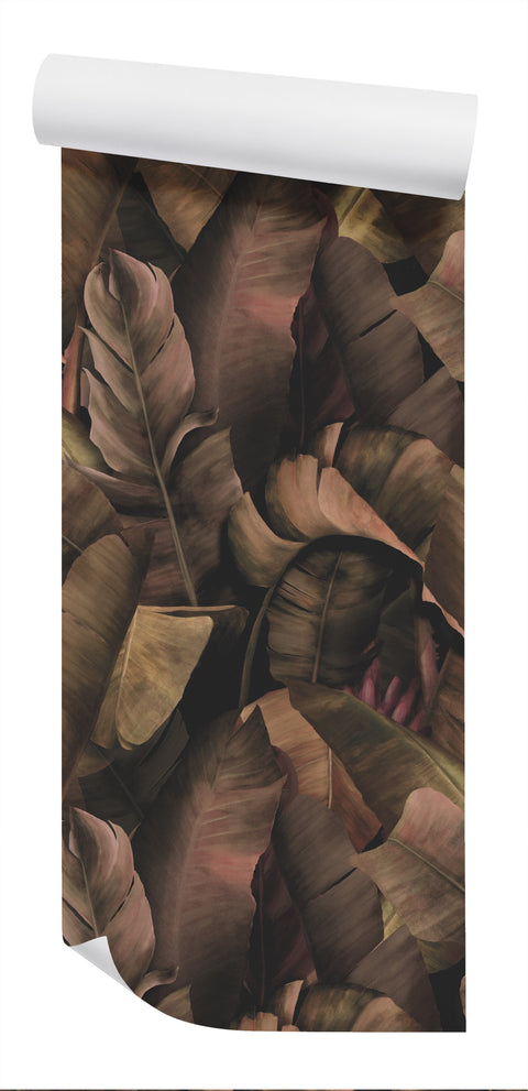 Daintree Wallpaper - Flamenco