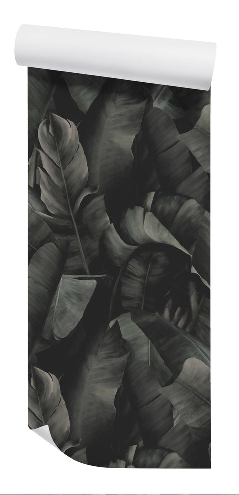 Daintree Wallpaper - Shale