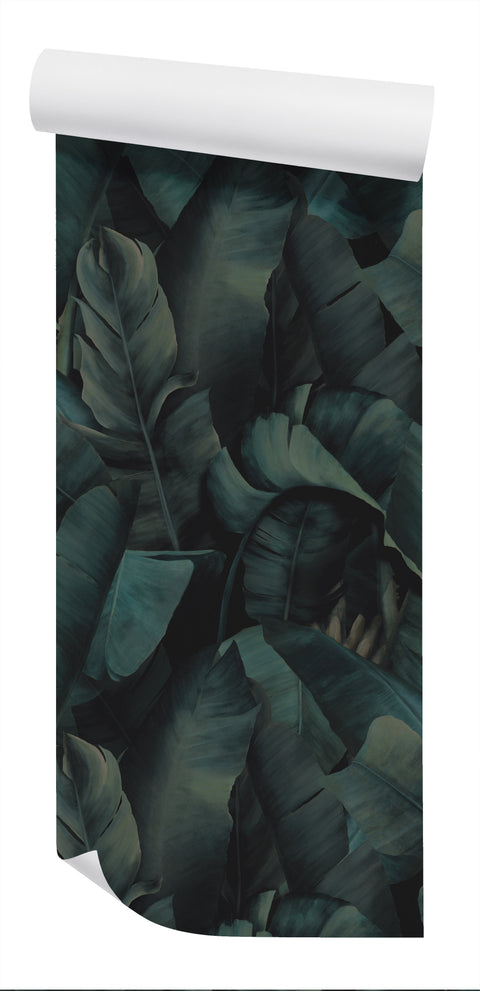 Daintree Wallpaper - Voodoo