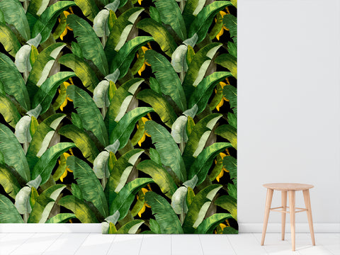 Botany Wallpaper - Black