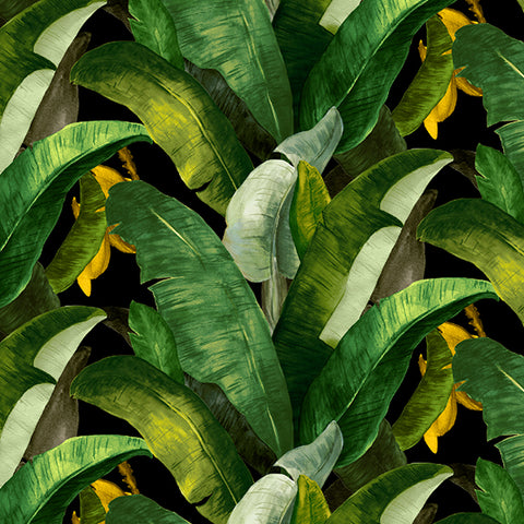 Botany Wallpaper - Black