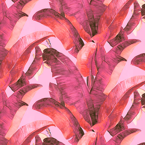 Botany Wallpaper - Flamingo