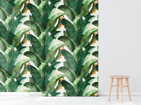 Botany Wallpaper - Original