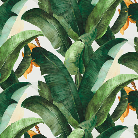Botany Wallpaper - Original
