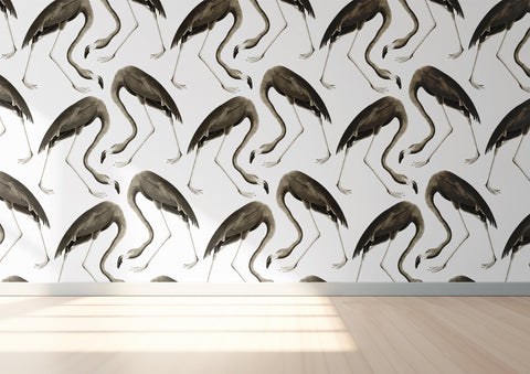 Flamingos Wallpaper - Black