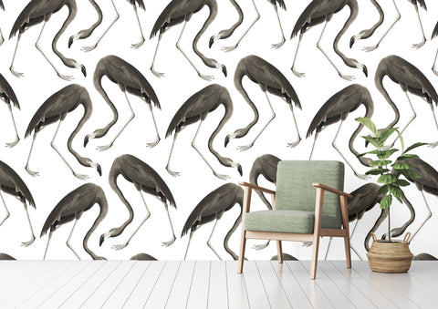 Flamingos Wallpaper - Black