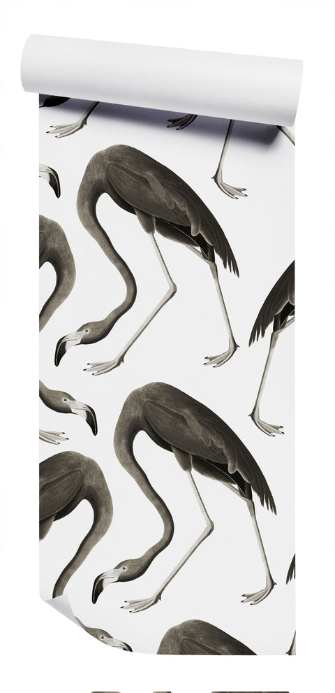 Flamingos Wallpaper - Black