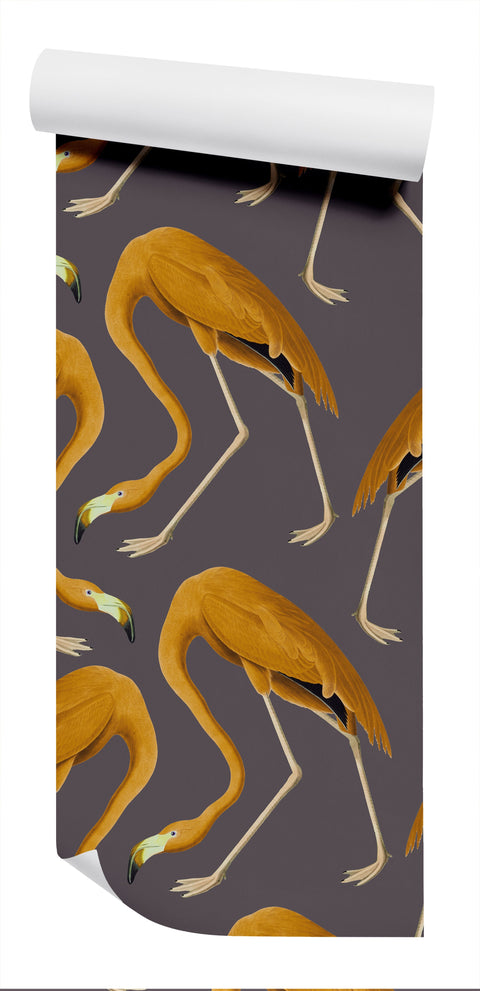 Flamingos Wallpaper - Golden