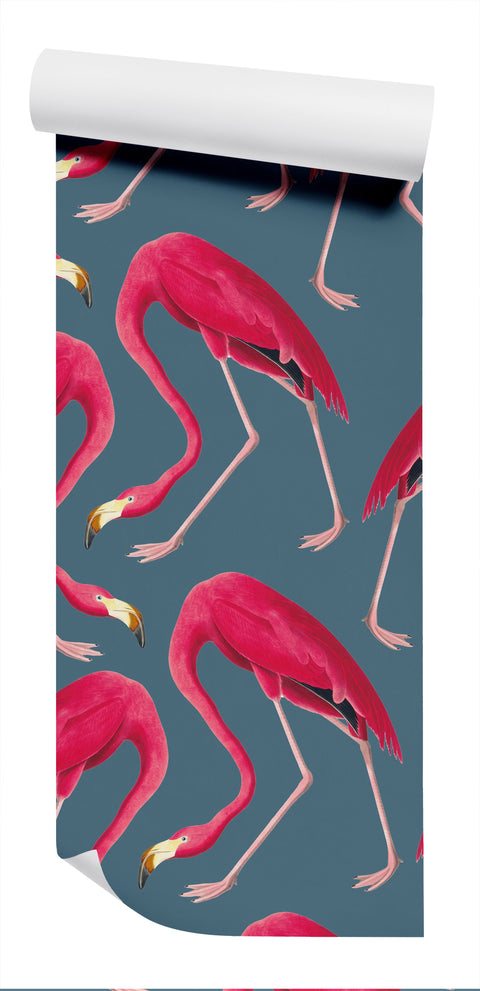 Flamingos Wallpaper - Mers
