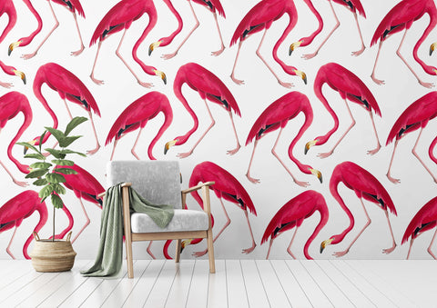 Flamingos Wallpaper - Original