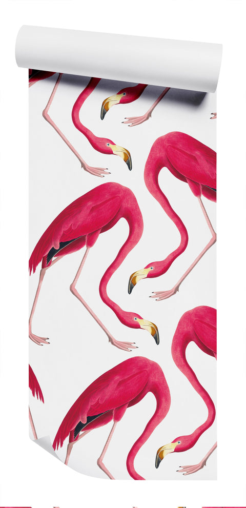 Flamingos Wallpaper - Original