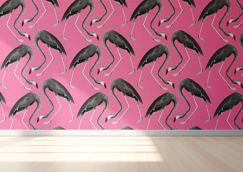 Flamingos Wallpaper - Pop
