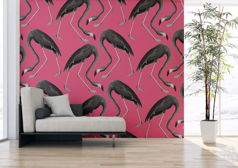 Flamingos Wallpaper - Pop