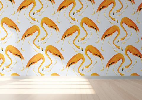 Flamingos Wallpaper - Spicey
