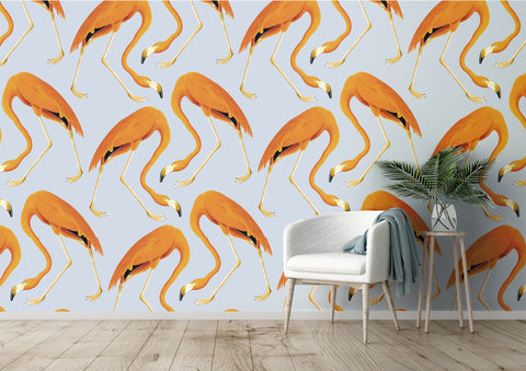 Flamingos Wallpaper - Spicey