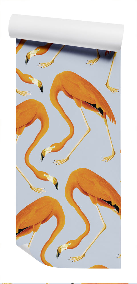 Flamingos Wallpaper - Spicey