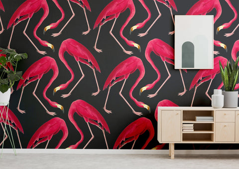Flamingos Wallpaper - Wren