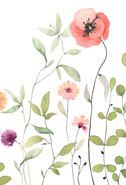 Watercolour Garden - Peony