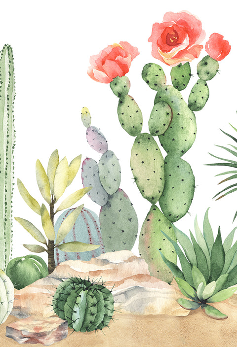 Watercolour Garden - Succulent