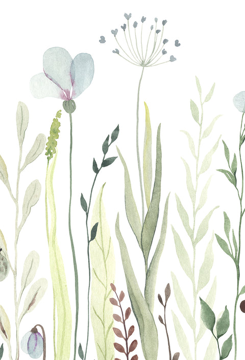 Watercolour Garden - Winter